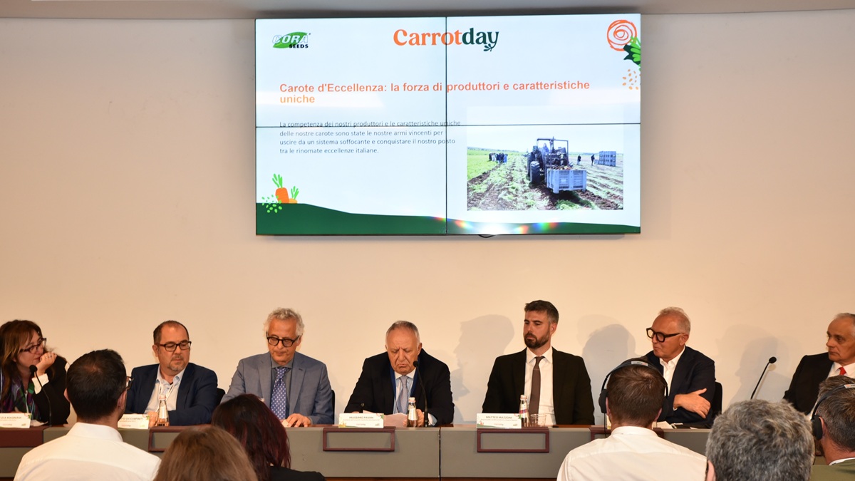 2. CARROT DAY_CORA SEEDS|1. CARROT DAY_CORA SEEDS